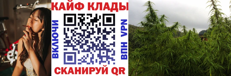 Цена Кызыл Галлюциногенные грибы Cocaine Гашиш Меф мяу мяу Конопля A PVP