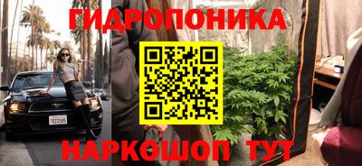 a pvp Гатчина