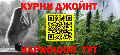 a pvp Гатчина