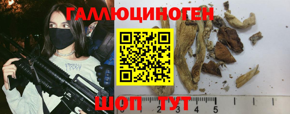 Псилоцибиновые грибы мицелий  Вход с VPN  Кызыл 